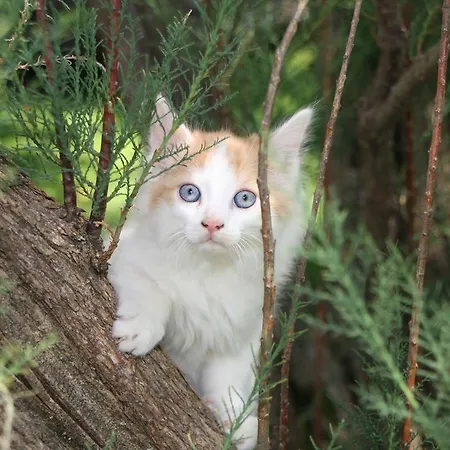 Joergleggerhof مزرعة للإقامة