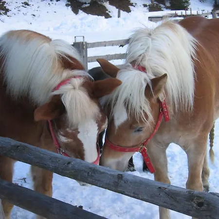 Joergleggerhof مزرعة للإقامة