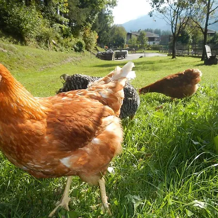 Joergleggerhof Farm stay *