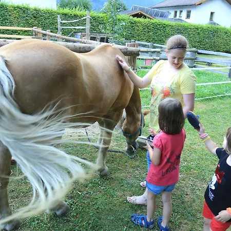 مزرعة للإقامة Joergleggerhof Nikolsdorf