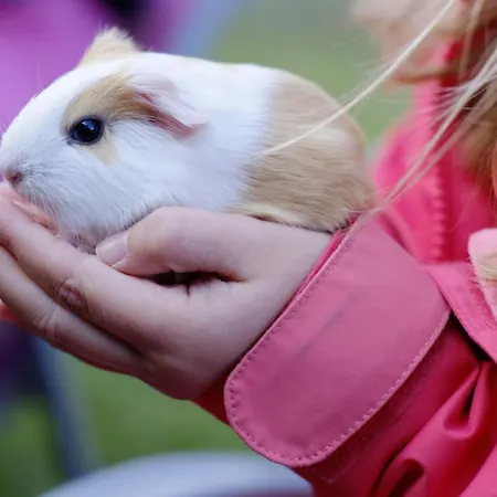 Joergleggerhof * Nikolsdorf