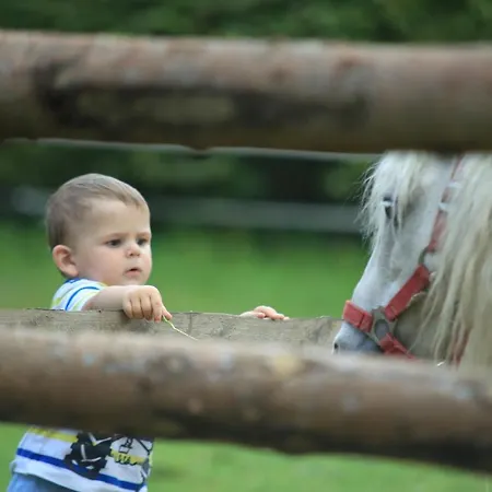 Joergleggerhof * Nikolsdorf