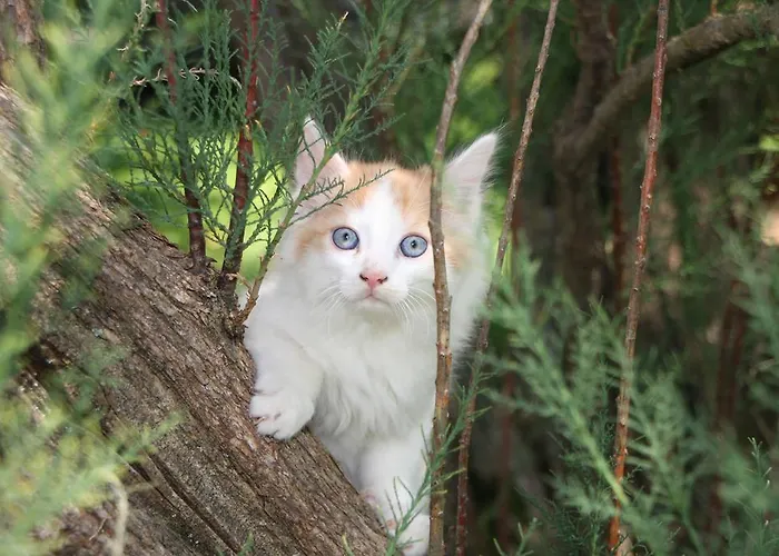 Joergleggerhof Farmház