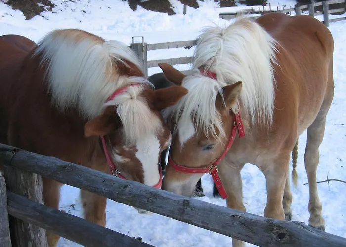 Joergleggerhof Farmház