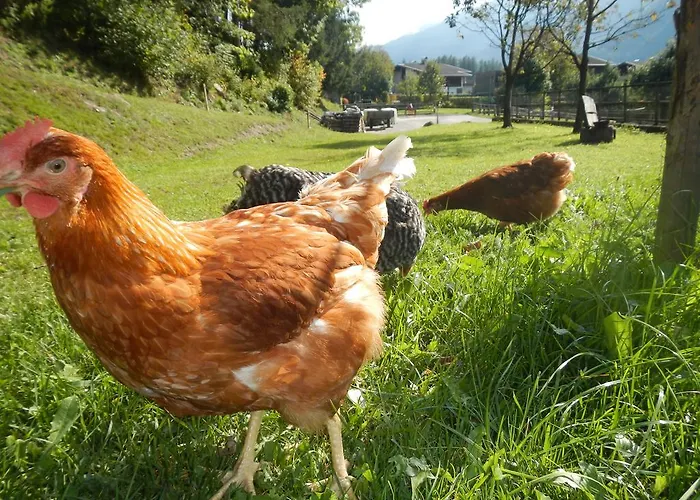 Joergleggerhof Farmház *