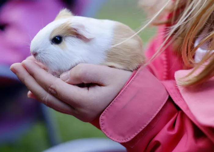 Joergleggerhof * Nikolsdorf