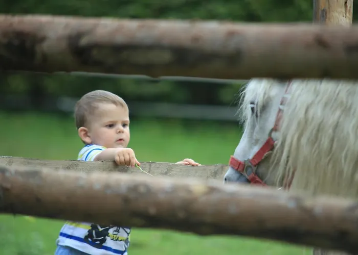 Joergleggerhof * Nikolsdorf